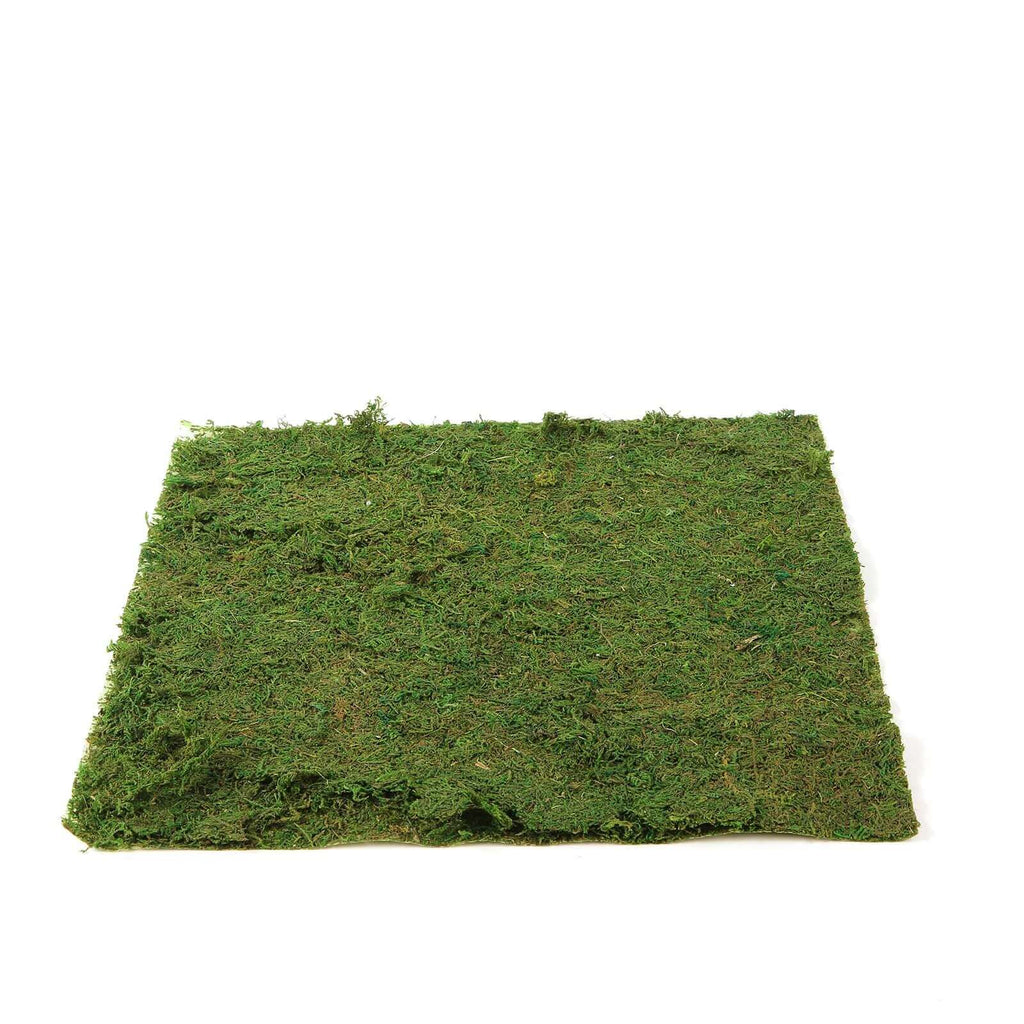 18"x16" Preserved Natural Moss Wall Sheet Roll, Moss Landscape Panel