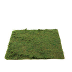 18"x16" Preserved Natural Moss Wall Sheet Roll, Moss Landscape Panel