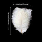 12 Pack 13"-15" White Natural Plume Real Ostrich Feathers, DIY Centerpiece Fillers