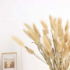 50-Pack Dried Bunny Tail Grass Natural - Rustic Chic Lagurus Ovatus Rabbit Tail Ornamental Grass for Modern Farmhouse Decor Event Styling & Floral Displays 15"