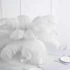 12 Pack White Natural Plume Ostrich Feathers Centerpiece Filler - 24"-26"