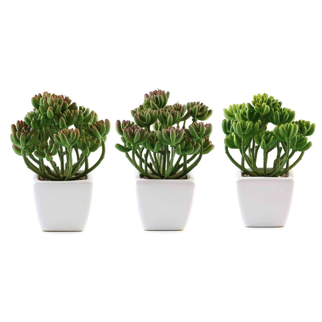 3-Pack Stonecrop Artificial Succulents in Ceramic Pots - Lifelike Decorative Faux Plants for Home Office & Event Design 7"