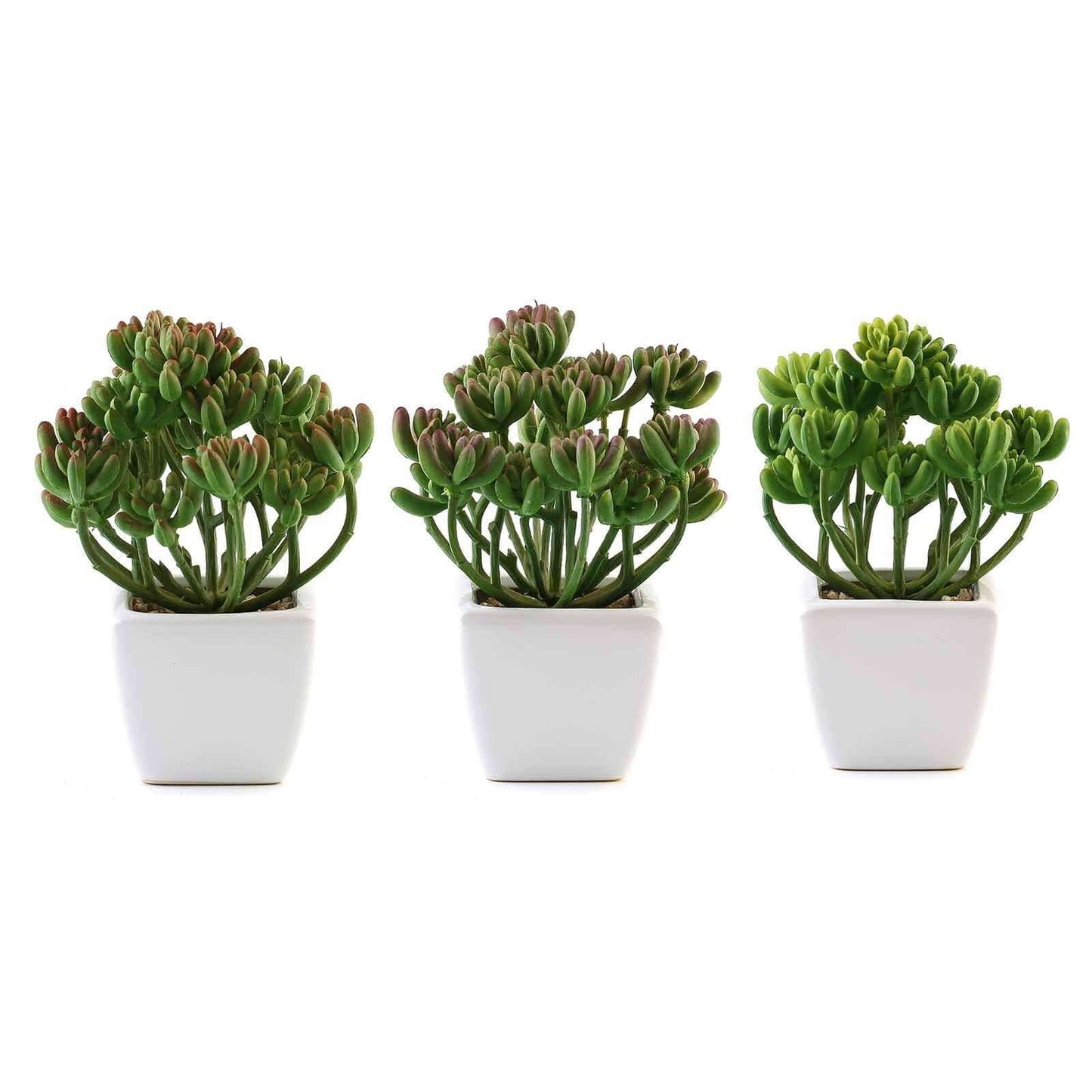 3-Pack Stonecrop Artificial Succulents in Ceramic Pots - Lifelike Decorative Faux Plants for Home Office & Event Design 7"