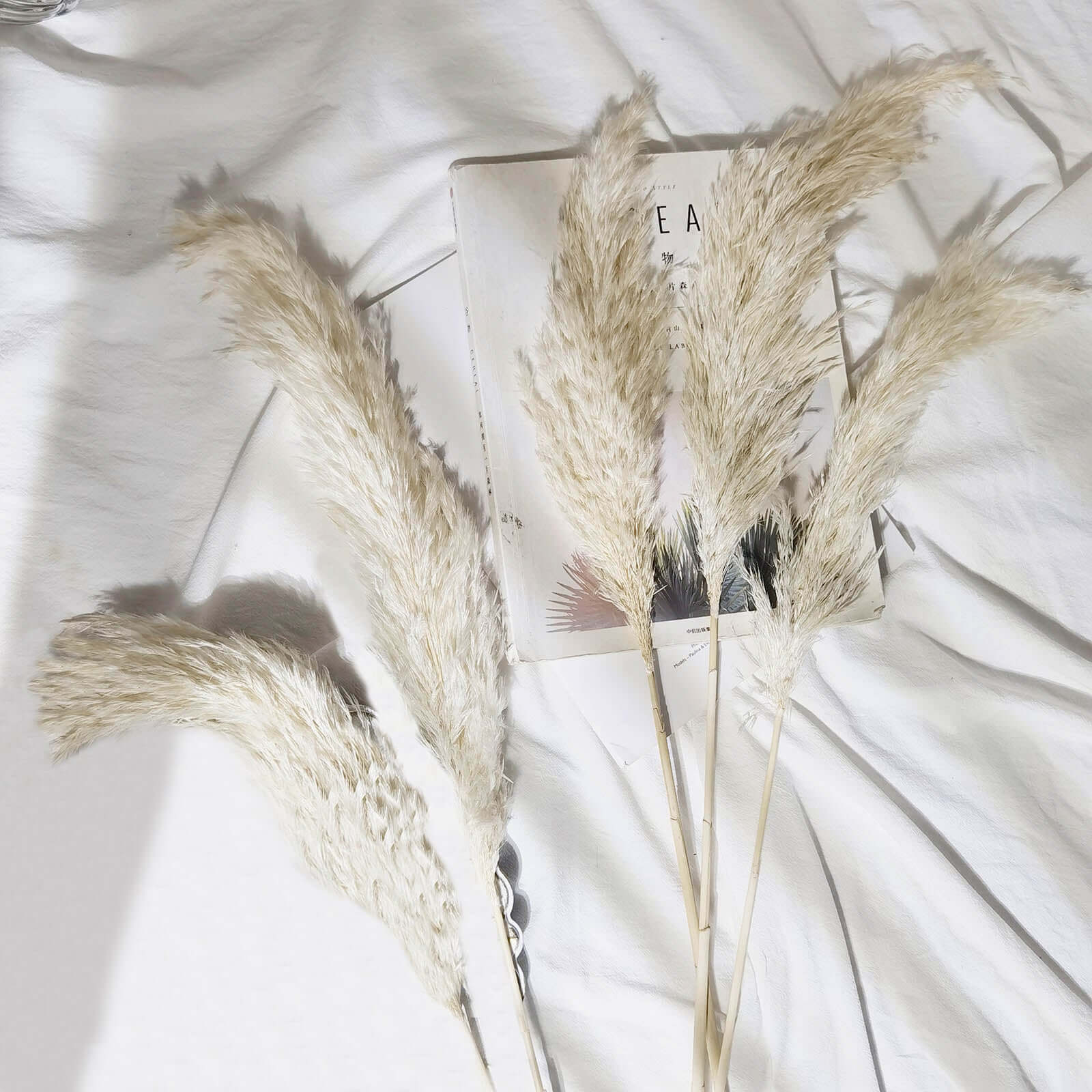 6 Stems Natural Dried Pampas Grass Decor Off White Tint - Versatile Plant Sprays for Boho Chic Vase Displays Backdrops & Event Styling 32"