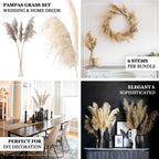 6 Stems Natural Dried Pampas Grass Decor Natural Tint - Versatile Plant Sprays for Boho Chic Vase Displays Backdrops & Event Styling 32"