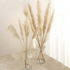 6 Stems Natural Dried Pampas Grass Decor Wheat Tint - Tall Plant Sprays for Boho Chic Vase Displays Backdrops & Event Styling 49"
