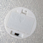 2-Pack LED Light Globes Color Changing - Battery Operated Ball Centerpieces 6"