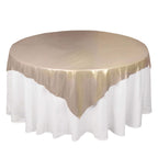 Polyester 72"x72" Table Overlay Square Tablecloth Blush - Sequin Dots Wrinkle - Free Table Cover - Bell Racket Store