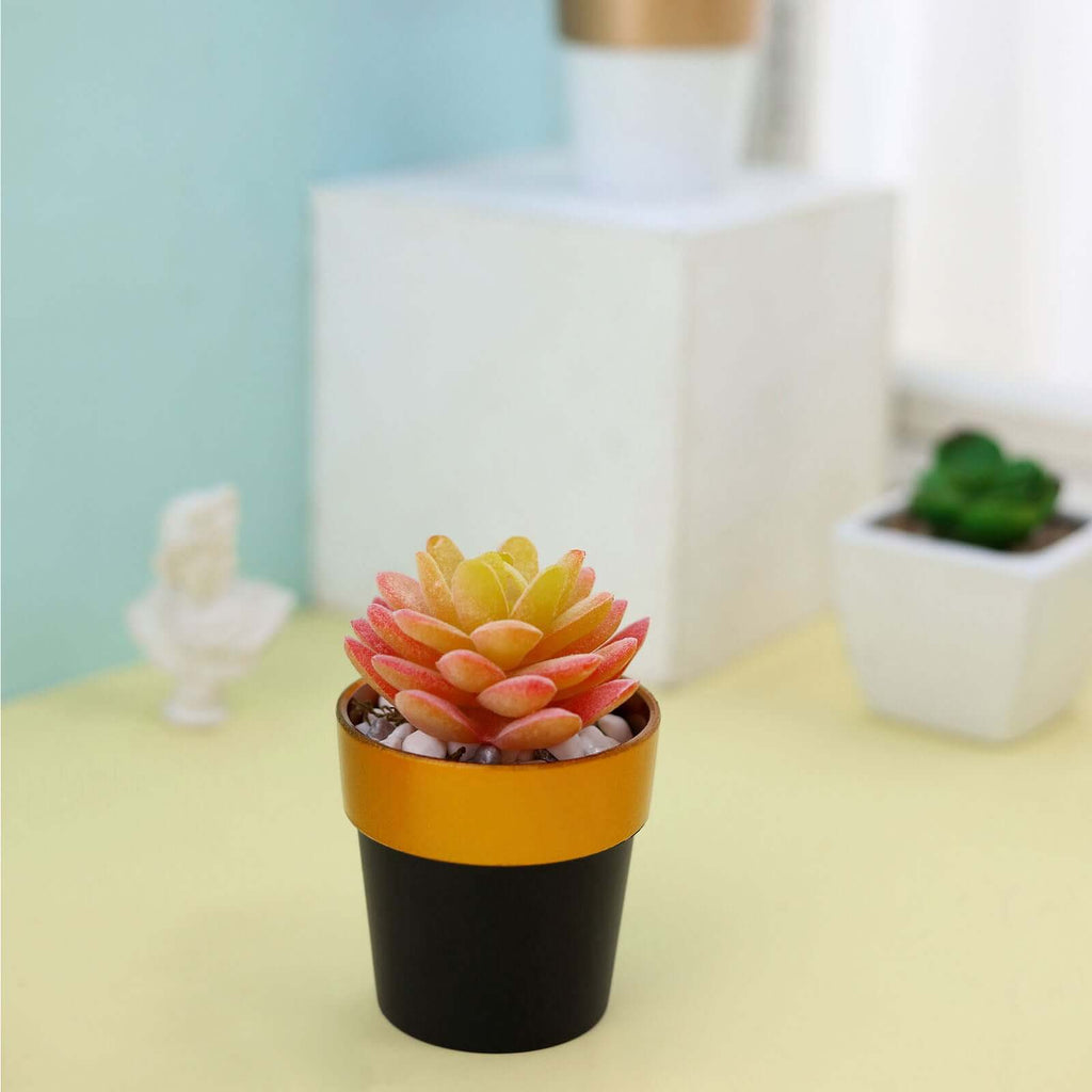 3-Pack Flower Plant Pots Small Design Black with Gold Rim - Plastic Indoor Decorative Planters 3"