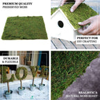18"x16" Preserved Natural Moss Wall Sheet Roll, Moss Landscape Panel