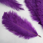12 Pack 13"-15" Purple Natural Plume Real Ostrich Feathers, DIY Centerpiece Fillers