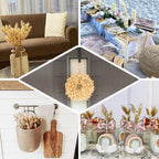 50-Pack Dried Bunny Tail Grass Natural White for Farmhouse Decor Event & Floral Displays 15"