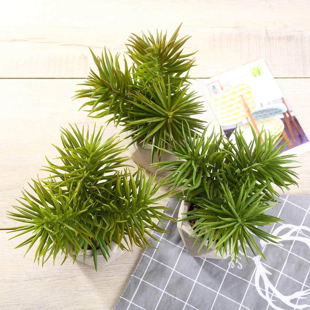 3-Pack Crassula Artificial Succulents in Geometric Ceramic Pot - Lifelike Decorative Faux Plants for Home Office & Event Design 8"