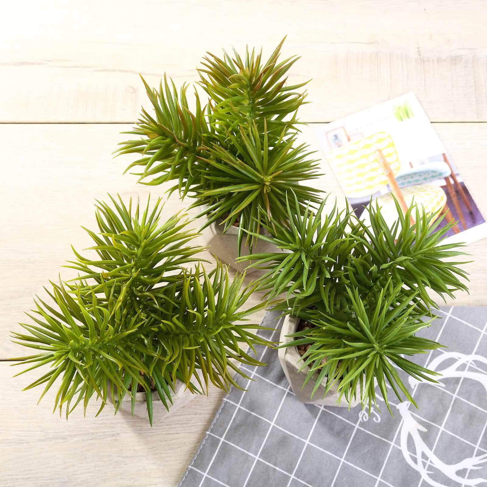 3-Pack Crassula Artificial Succulents in Geometric Ceramic Pot - Lifelike Decorative Faux Plants for Home Office & Event Design 8"