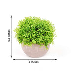 2 Plant Set Artificial Boxwood Topiary Ball 5" - Maintenance Free Mini Faux Potted Greenery Decor