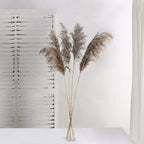 6 Stems Natural Dried Pampas Grass Decor Natural Tint - Versatile Plant Sprays for Boho Chic Vase Displays Backdrops & Event Styling 32"