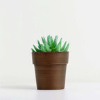 3-Pack Flower Plant Pots Small Design Rustic Brown - Plastic Indoor Decorative Planters 3"
