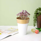 2-Pack Flower Plant Pots Medium Design White with Gold Rim - Plastic Indoor Decorative Planters 6"