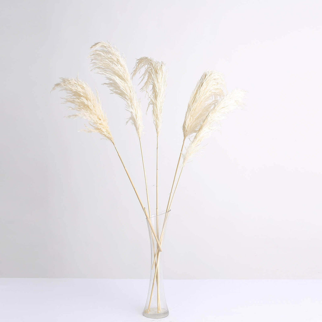6 Stems Natural Dried Pampas Grass Decor Off White Tint - Versatile Plant Sprays for Boho Chic Vase Displays Backdrops & Event Styling 32"
