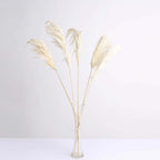 6 Stems Natural Dried Pampas Grass Decor Off White Tint - Versatile Plant Sprays for Boho Chic Vase Displays Backdrops & Event Styling 32"
