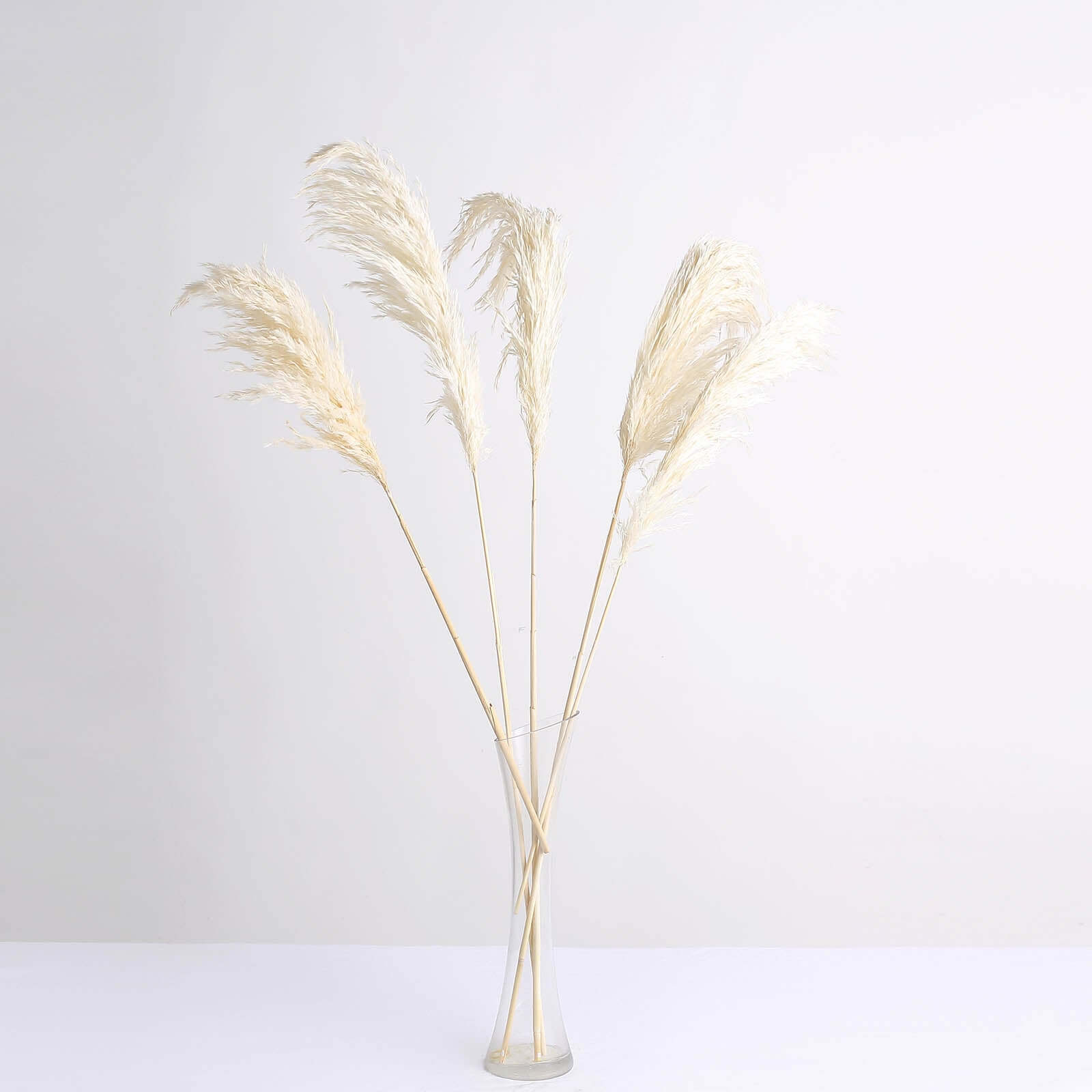 6 Stems Natural Dried Pampas Grass Decor Off White Tint - Versatile Plant Sprays for Boho Chic Vase Displays Backdrops & Event Styling 32"