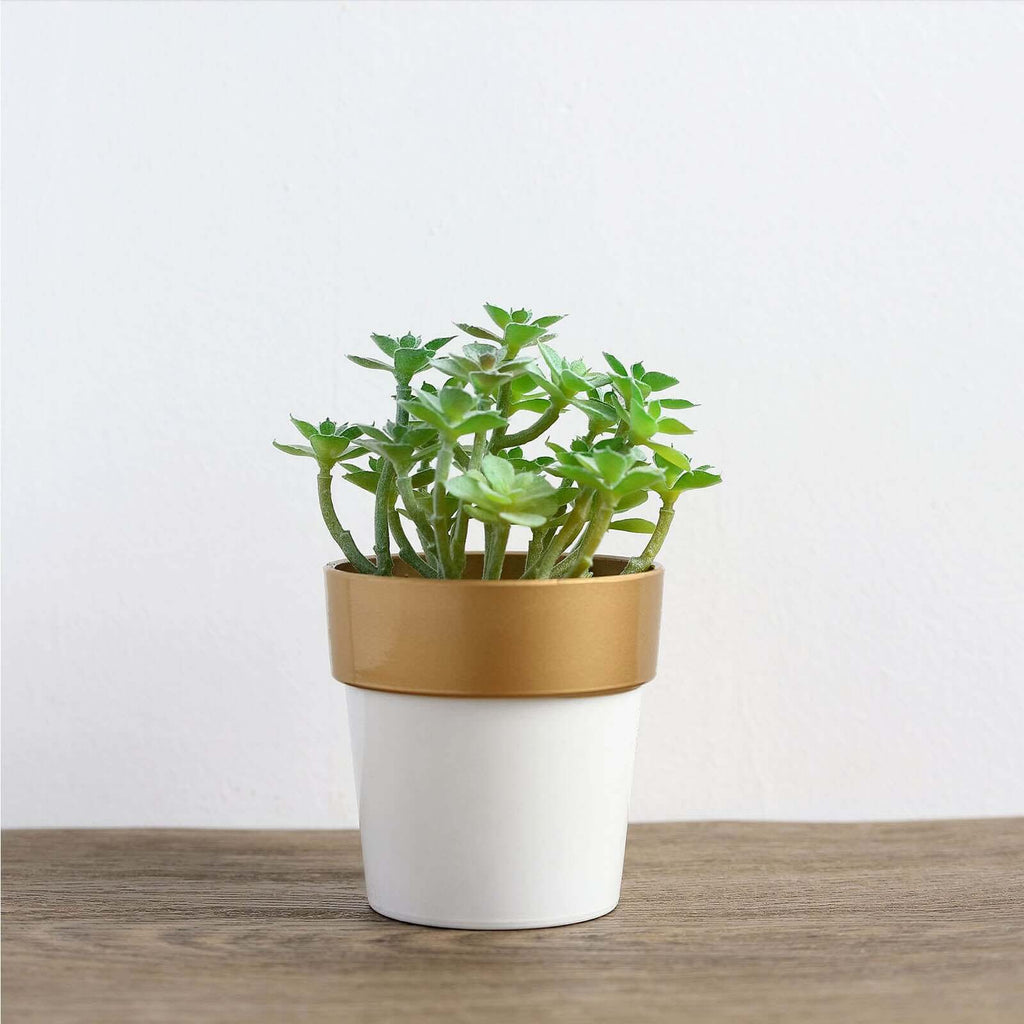 3-Pack Flower Plant Pots Small Design White with Gold Rim - Plastic Indoor Decorative Planters 3"