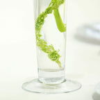 6-Pack Glass Trumpet Vases Clear - Durable Design for Chic Event Displays 24"