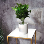 2-Pack Acrylic Plexiglass Sheets Top Plates White Square - Protective Film Coating 11" 3mm Thick