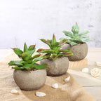 3-Pack Aloe Artificial Succulents in Ceramic Pot - Lifelike Decorative Faux Plants for Home Office & Event Design 5"