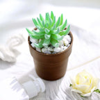 3-Pack Flower Plant Pots Small Design Rustic Brown - Plastic Indoor Decorative Planters 3"