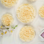 Set of 6 Ivory Cream Carnation 3D Paper Flowers Wall Decor - 7",9",11"