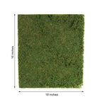 18"x16" Preserved Natural Moss Wall Sheet Roll, Moss Landscape Panel