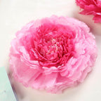 Set of 6 Pink Fuchsia Giant Carnation 3D Paper Flowers Wall Decor - 12",16",20"