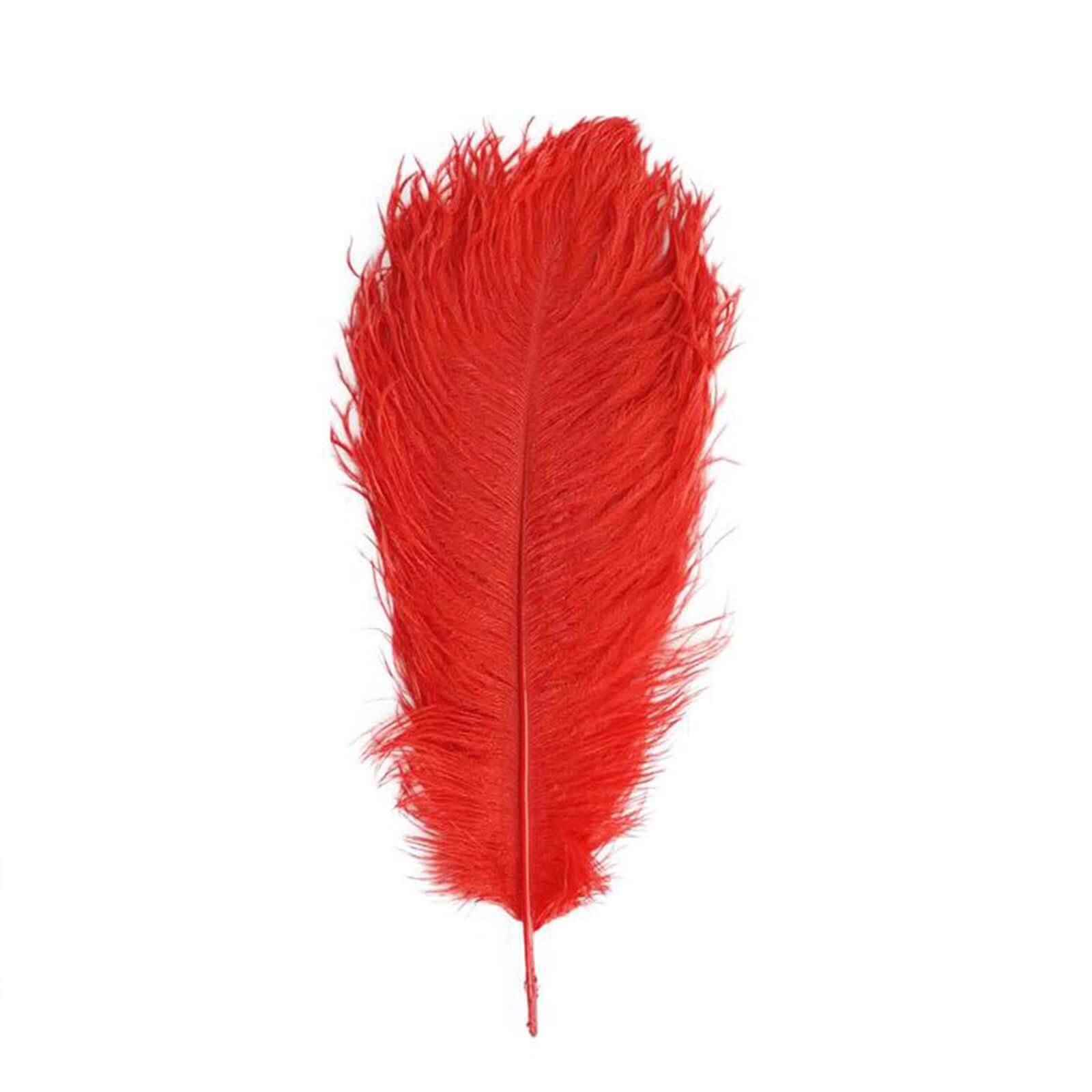 12 Pack 13"-15" Red Natural Plume Real Ostrich Feathers, DIY Centerpiece Fillers