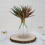 3 Pack 12" Artificial PVC Aloe Cameronii Decorative Succulent Plants