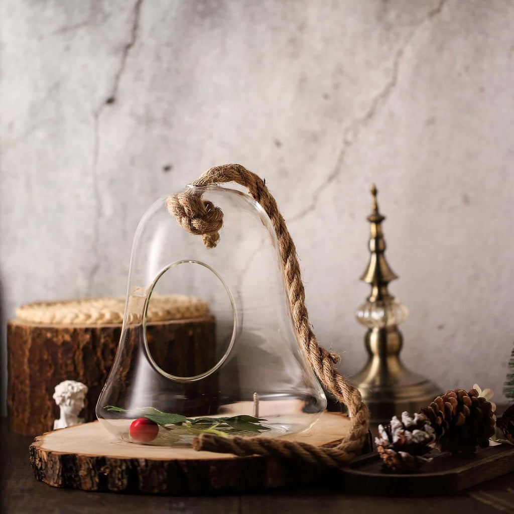 Glass Terrarium Hanging Bell Shaped Design with Twine Rope - Unique Free-Falling Planter for Air Plants & Displays 9"