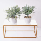 2-Pack Acrylic Plexiglass Sheets Rectangular Side Plates White - Protective Film Coating 24"x10"