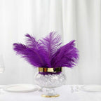 12 Pack 13"-15" Purple Natural Plume Real Ostrich Feathers, DIY Centerpiece Fillers