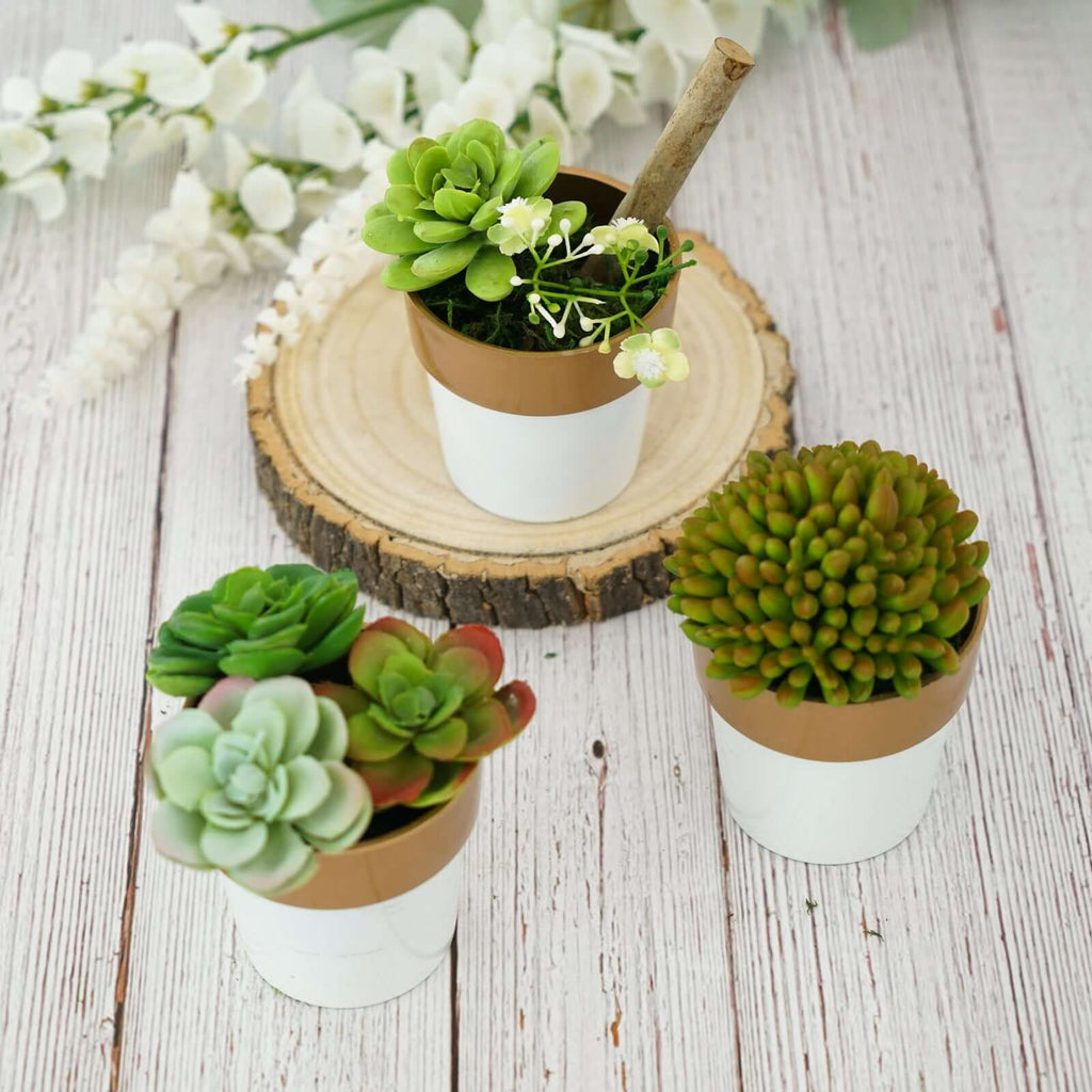 3-Pack Flower Plant Pots Small Design White with Gold Rim - Plastic Indoor Decorative Planters 3"