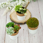 3-Pack Flower Plant Pots Small Design White with Gold Rim - Plastic Indoor Decorative Planters 3"