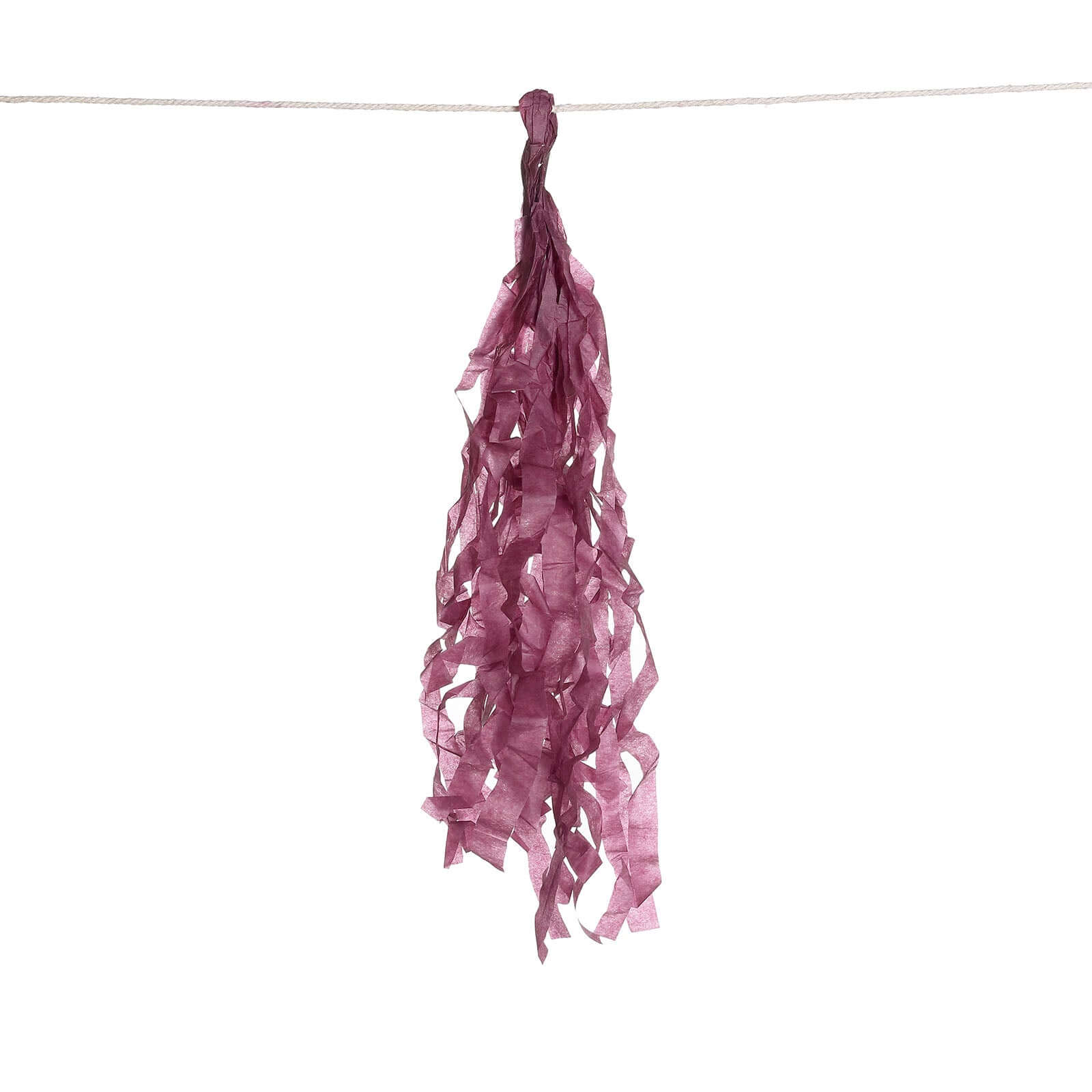 12 Pack Pre-Tied Eggplant Tissue Paper Tassel Garland With String, Hanging Fringe Party Streamer Backdrop Decor