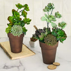 2-Pack Flower Plant Pots Medium Design Rustic Brown - Plastic Indoor Decorative Planters 6"