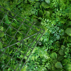 11 Sq ft. Green Boxwood Hedge Locust and Cypress Garden Wall Backdrop Mat - 4 Artificial Panels