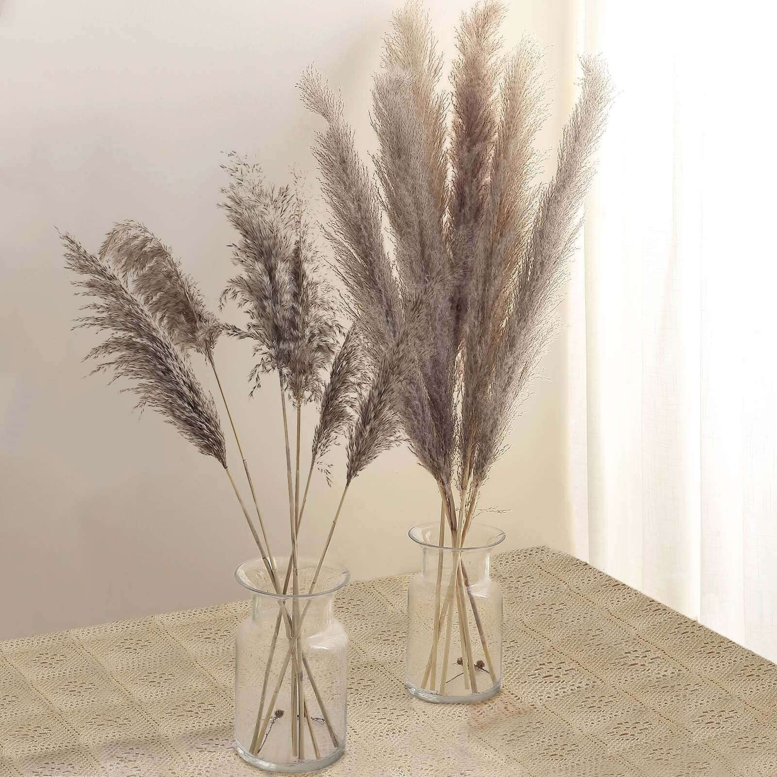 6 Stems Natural Dried Pampas Grass Decor Natural Tint - Versatile Plant Sprays for Boho Chic Vase Displays Backdrops & Event Styling 32"
