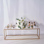 2-Pack Acrylic Plexiglass Sheets Rectangular Side Plates Clear - Protective Film Coating 40"x12"