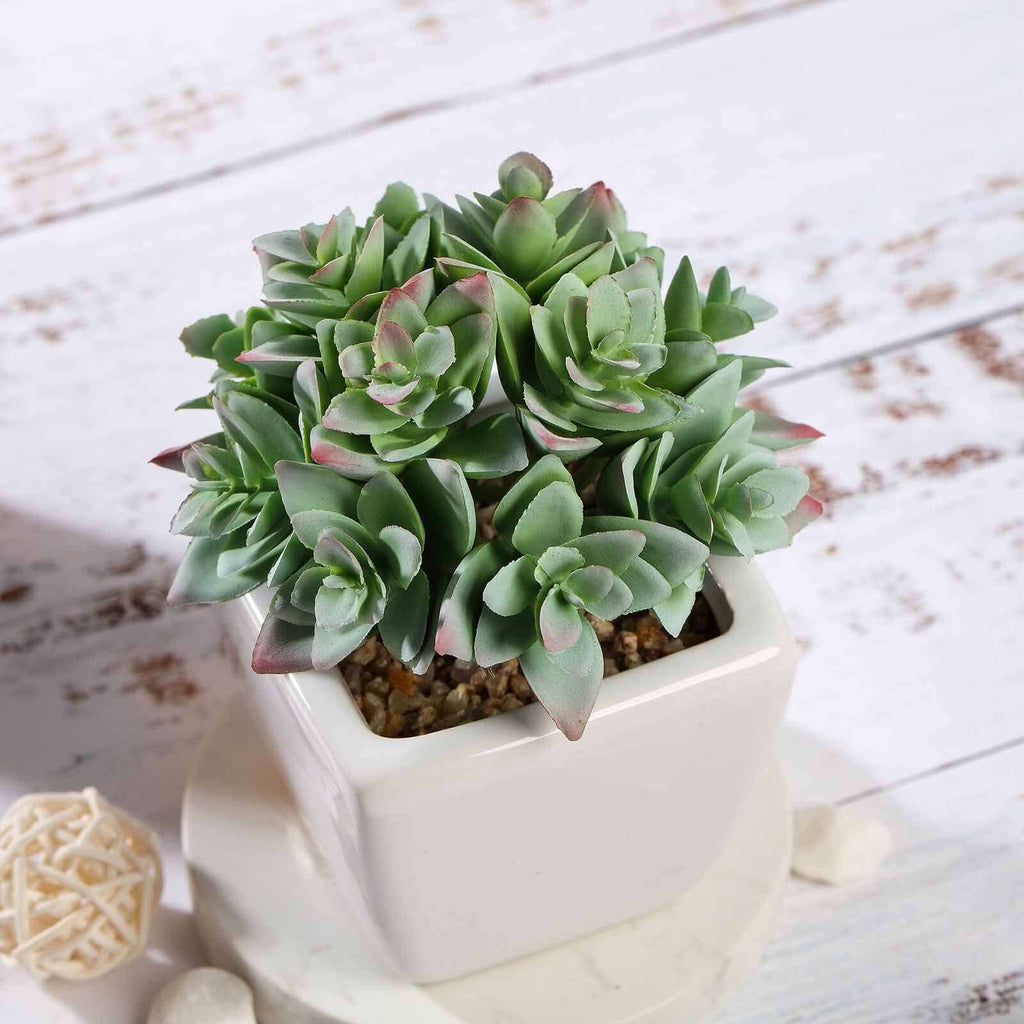 3-Pack Echeveria Artificial Succulents in Ceramic Pot Green - Lifelike Decorative Faux Plants for Home Office & Event Design 4"