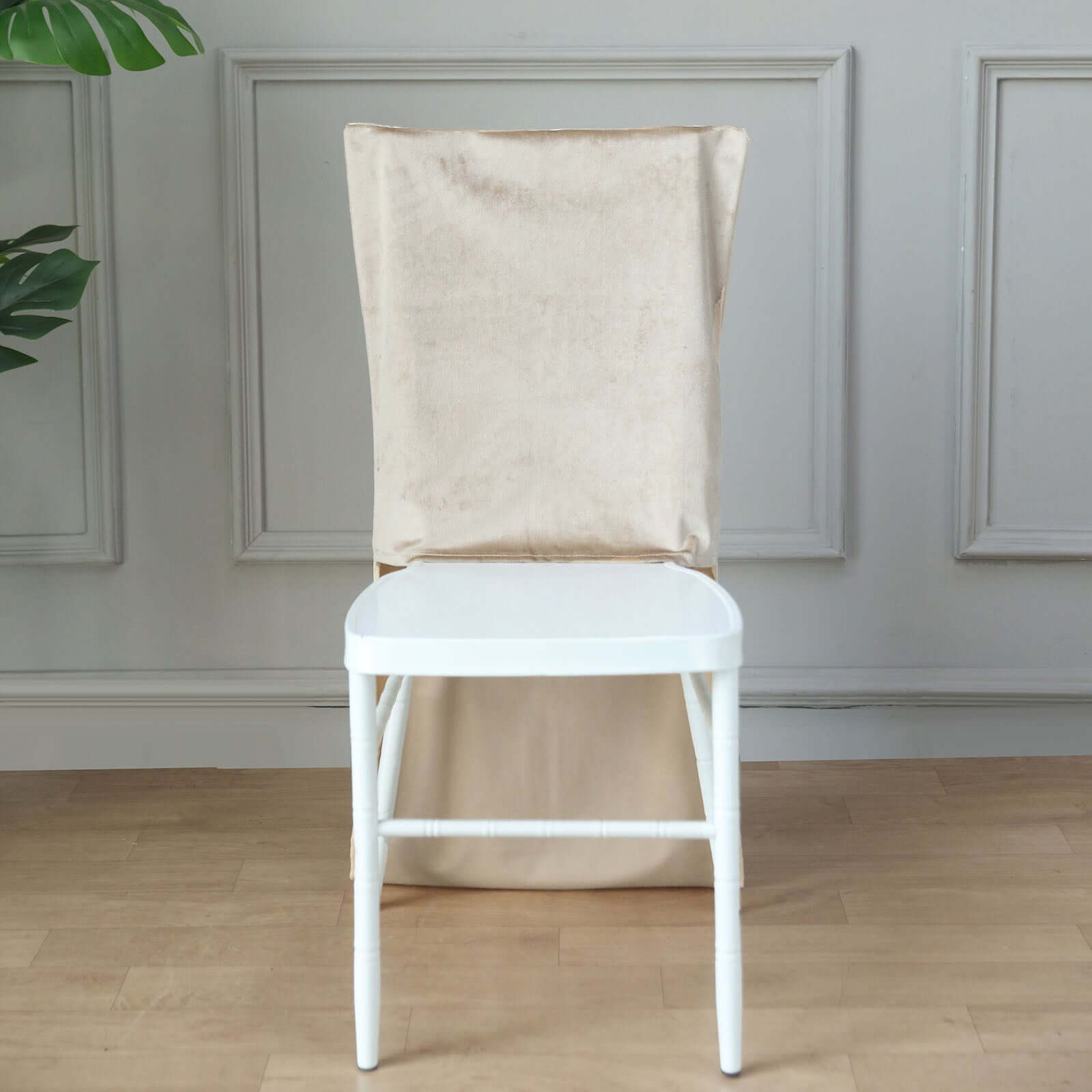 Velvet Chair Back Slipcover for Chiavari Chairs Champagne - Soft and Smooth Solid Chair Back Cover Cap - Bell Racket Store