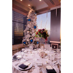 24" Clear Acrylic Display Box, Transparent Pedestal Riser with Interchangeable Lid and Base