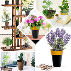 2-Pack Flower Plant Pots Medium Design Black with Gold Rim - Plastic Indoor Decorative Planters 6"