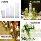 6-Pack Glass Flower Vases Cylinder Design Heavy Duty Clear - Stylish Centerpieces for Weddings 16"